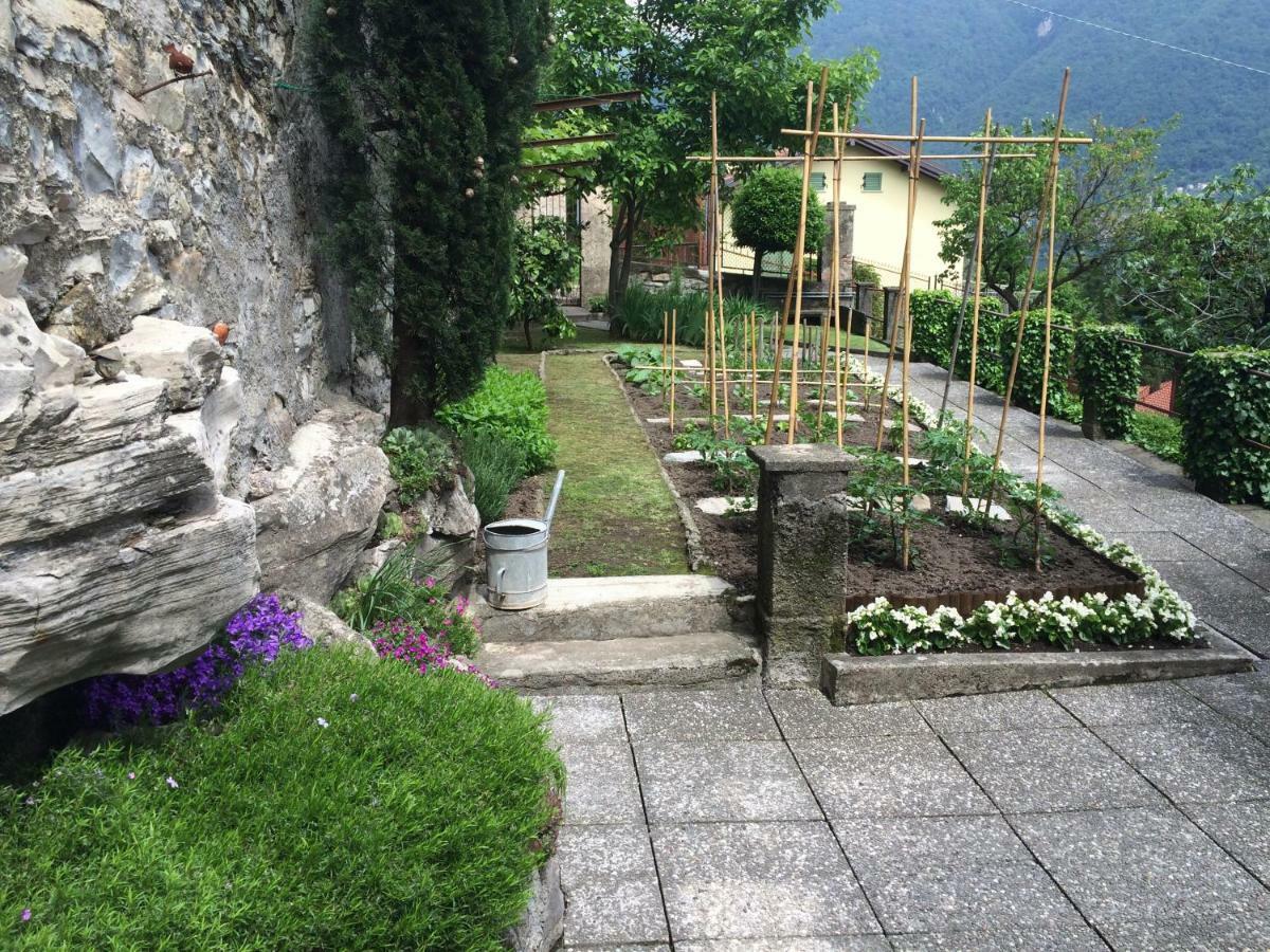 Villa Albonico Laglio Exterior photo